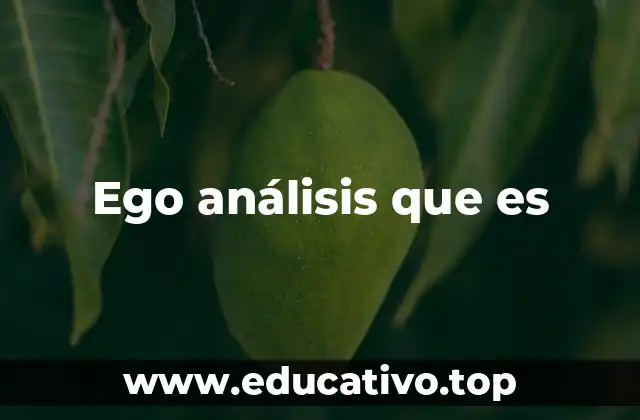 Ego análisis que es