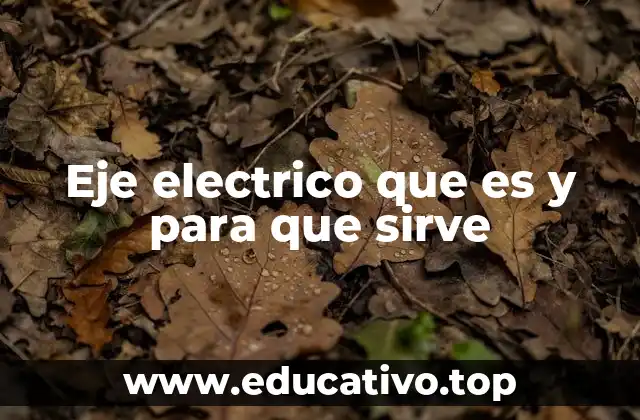 La importancia del eje en el funcionamiento de los motores eléctricos