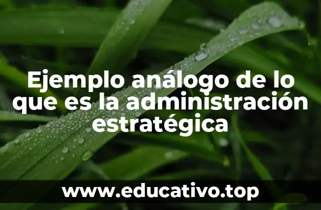 La importancia de la planificación a largo plazo en contextos dinámicos