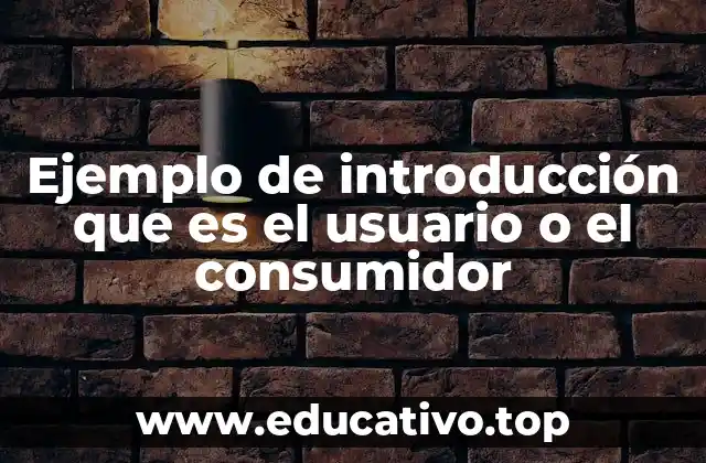 Ejemplo de introducción que es el usuario o el consumidor