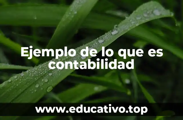 El rol de la contabilidad en la toma de decisiones empresariales