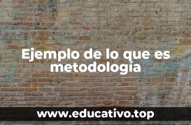 Ejemplo de lo que es metodología