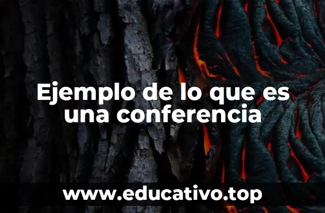Ejemplo de lo que es una conferencia