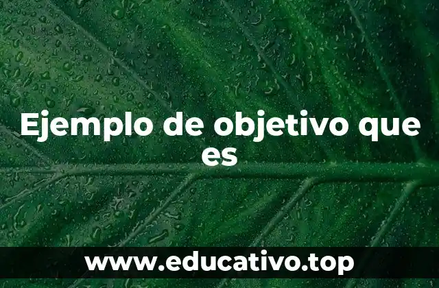 Ejemplo de objetivo que es