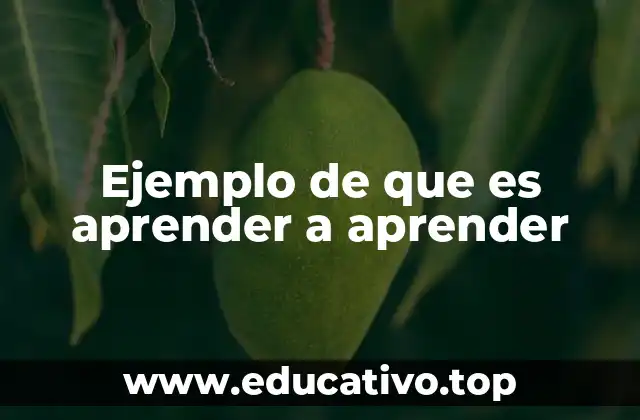 Ejemplo de que es aprender a aprender