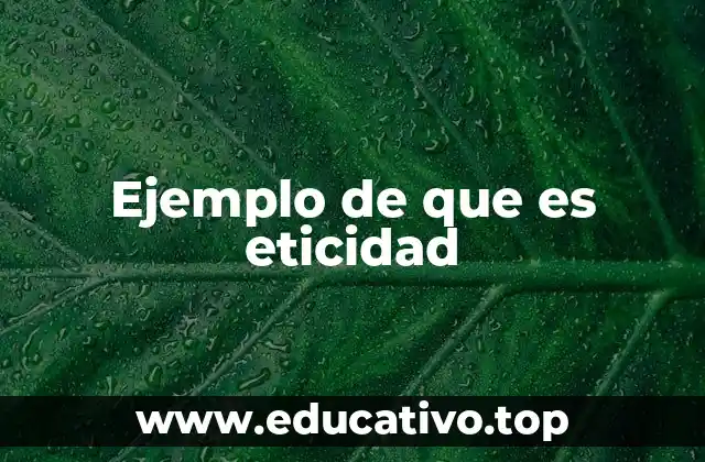 Ejemplo de que es eticidad
