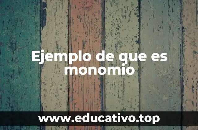 Ejemplo de que es monomio