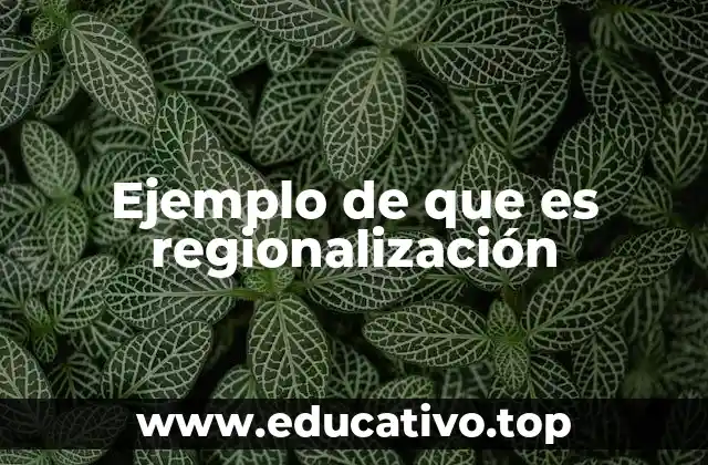 Ejemplo de que es regionalización