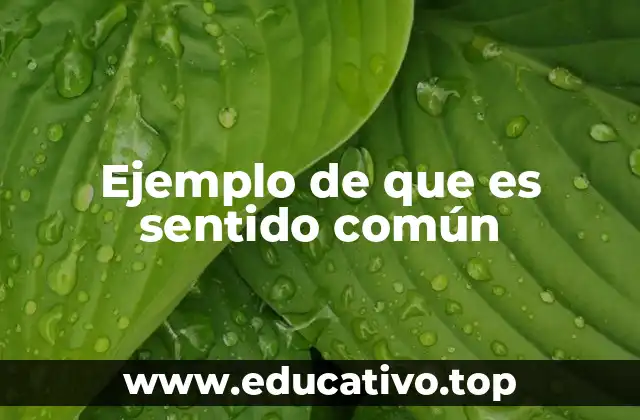 Ejemplo de que es sentido común