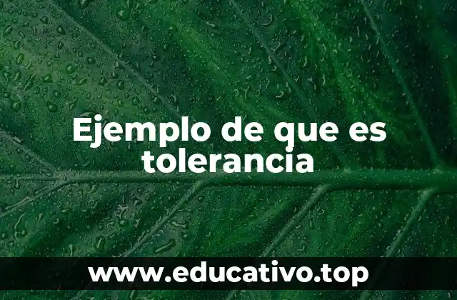 Ejemplo de que es tolerancia