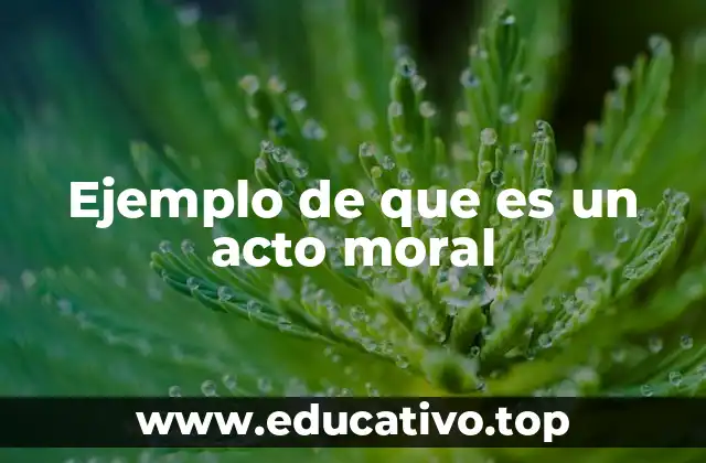 La importancia de los actos morales en la convivencia social