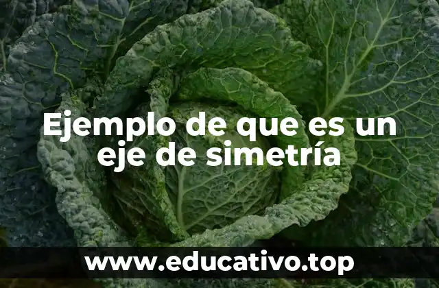 Ejemplo de que es un eje de simetría