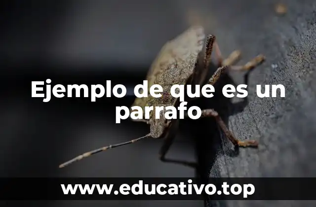 Ejemplo de que es un parrafo