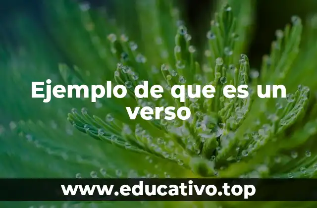 Ejemplo de que es un verso
