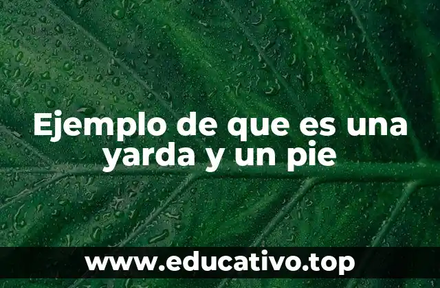 La relación entre yardas, pies y pulgadas