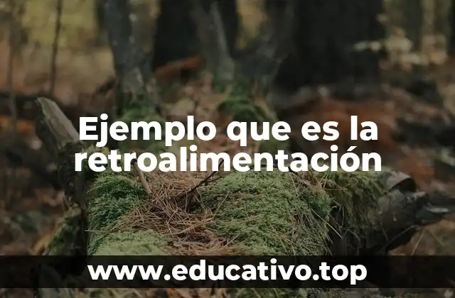 Ejemplo que es la retroalimentación