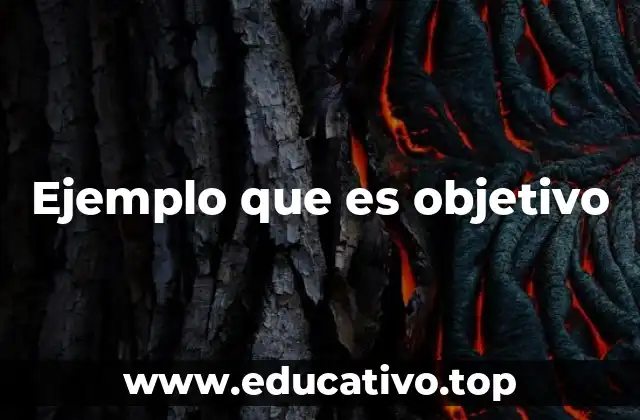 Ejemplo que es objetivo