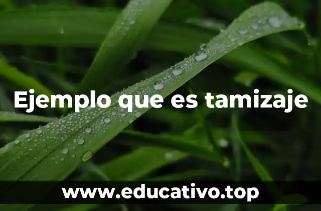 Ejemplo que es tamizaje