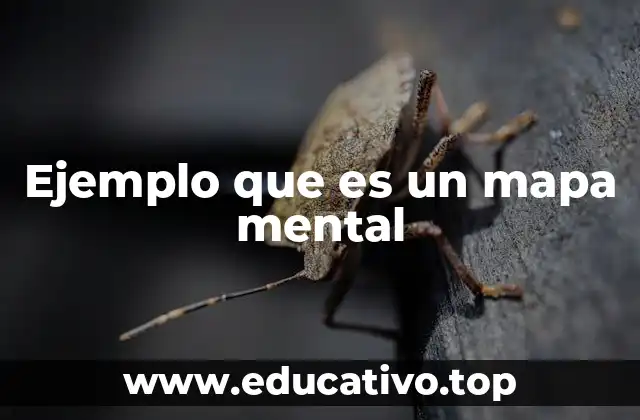 Ejemplo que es un mapa mental