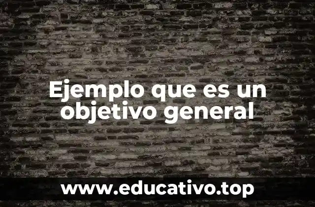 Ejemplo que es un objetivo general