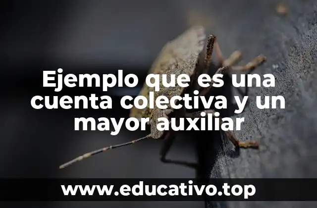 Ejemplo que es una cuenta colectiva y un mayor auxiliar