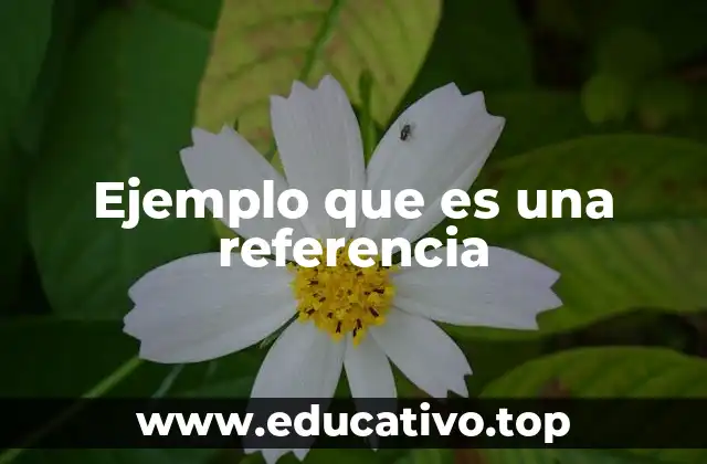 Ejemplo que es una referencia