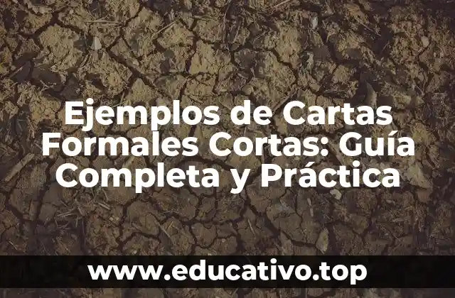 Ejemplos de Cartas Formales Cortas: Guía Completa y Práctica