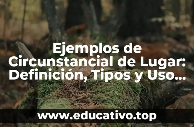 Ejemplos de Circunstancial de Lugar: Definición, Tipos y Uso en el Lenguaje