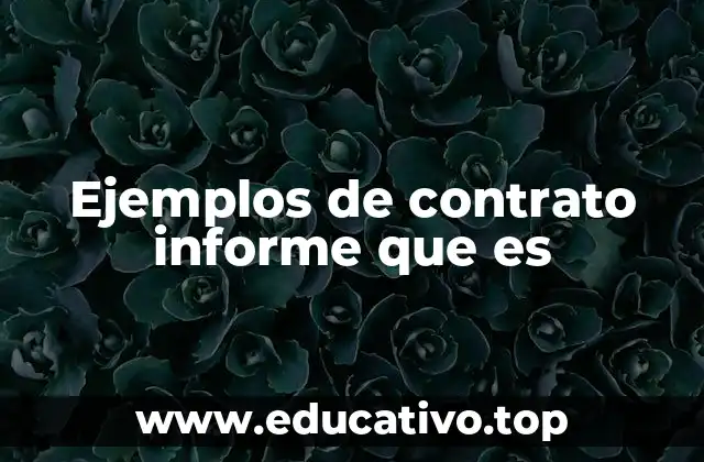 Ejemplos de contrato informe que es