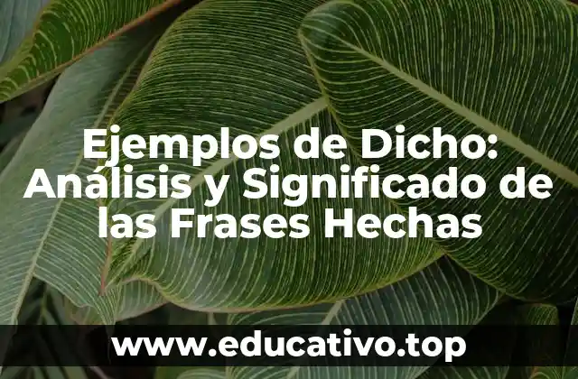 Ejemplos de Dicho: Análisis y Significado de las Frases Hechas