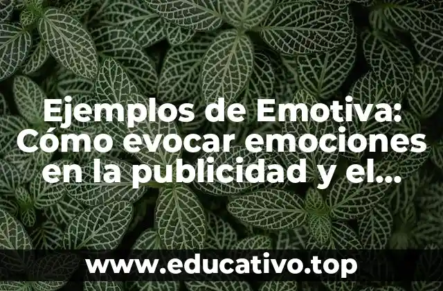 Ejemplos de Emotiva: Cómo evocar emociones en la publicidad y el marketing