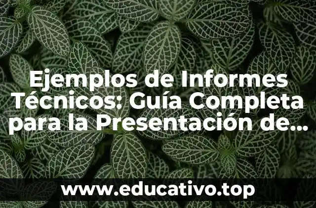Ejemplos de Informes Técnicos: Guía Completa para la Presentación de Resultados