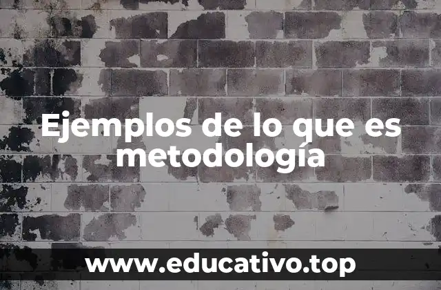 Ejemplos de lo que es metodología