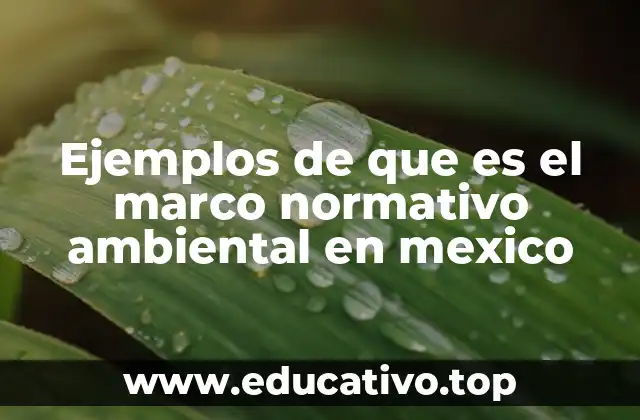 Ejemplos de que es el marco normativo ambiental en mexico