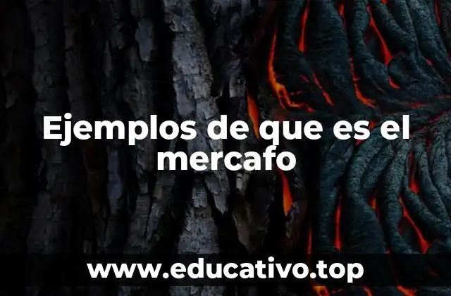 Ejemplos de que es el mercafo