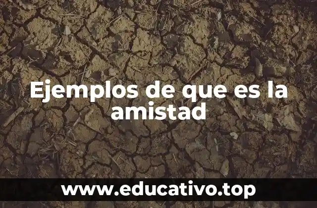 La importancia de la amistad en la vida cotidiana