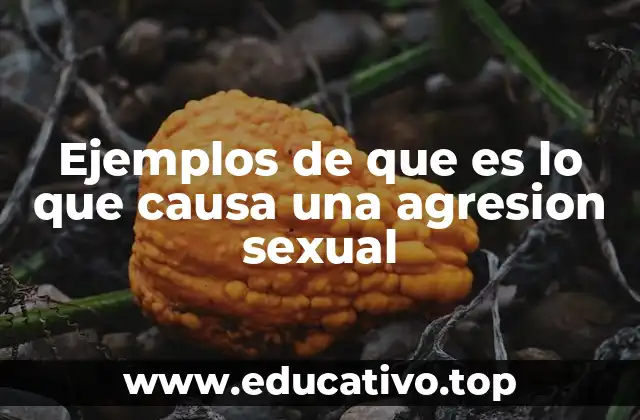 Ejemplos de que es lo que causa una agresion sexual