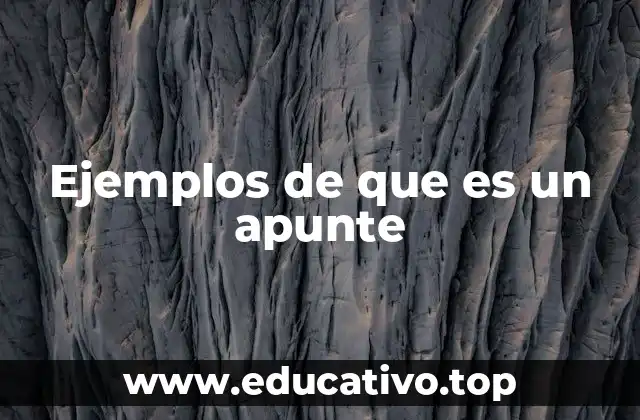 Ejemplos de que es un apunte