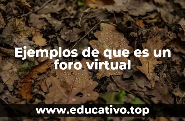 Cómo funciona un foro virtual