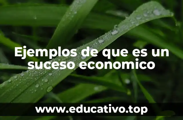 Ejemplos de que es un suceso economico