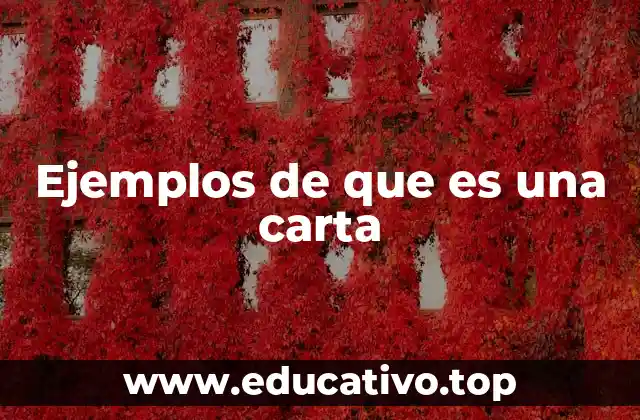 Ejemplos de que es una carta