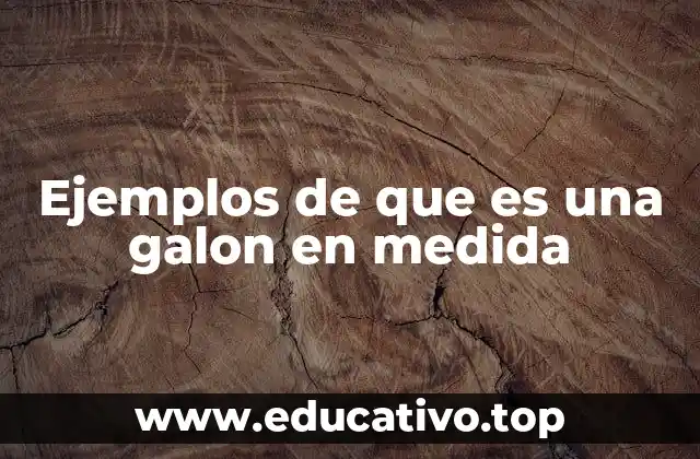 Ejemplos de que es una galon en medida