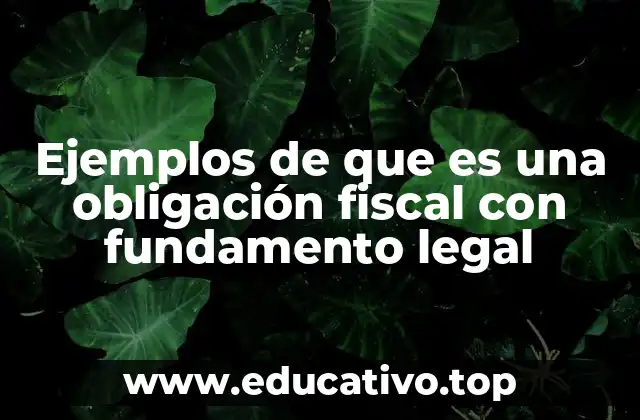 Ejemplos de que es una obligación fiscal con fundamento legal