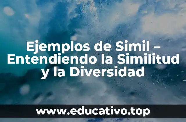 Ejemplos de Simil – Entendiendo la Similitud y la Diversidad