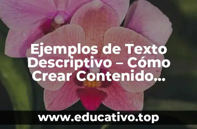 Ejemplos de Texto Descriptivo – Cómo Crear Contenido Atractivo
