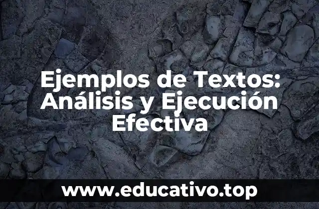 Ejemplos de Textos: Análisis y Ejecución Efectiva