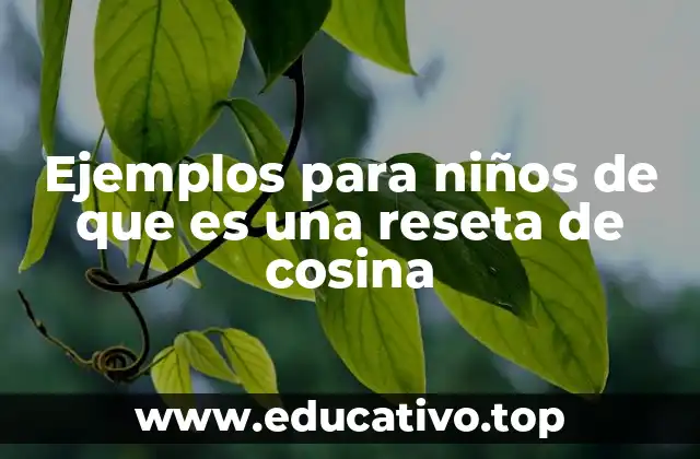 Ejemplos para niños de que es una reseta de cosina
