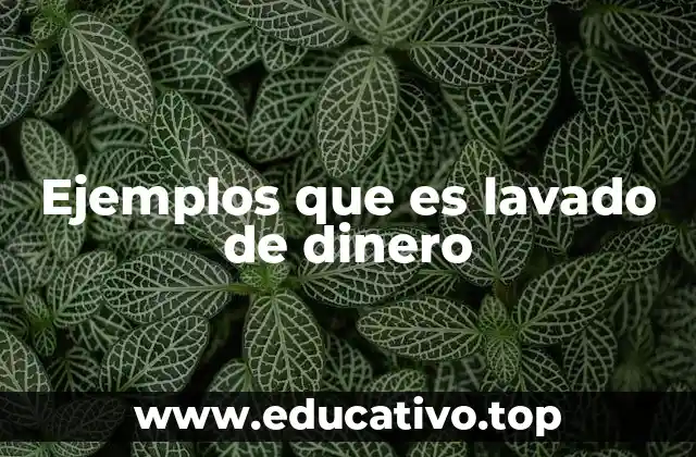 Ejemplos que es lavado de dinero