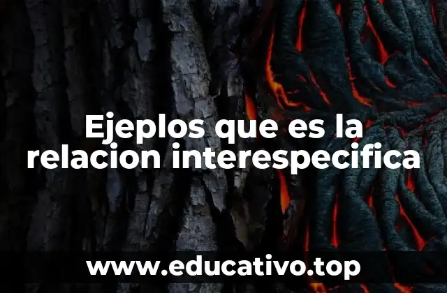 Ejeplos que es la relacion interespecifica