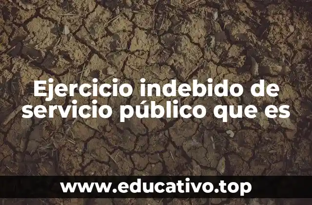 Ejercicio indebido de servicio público que es